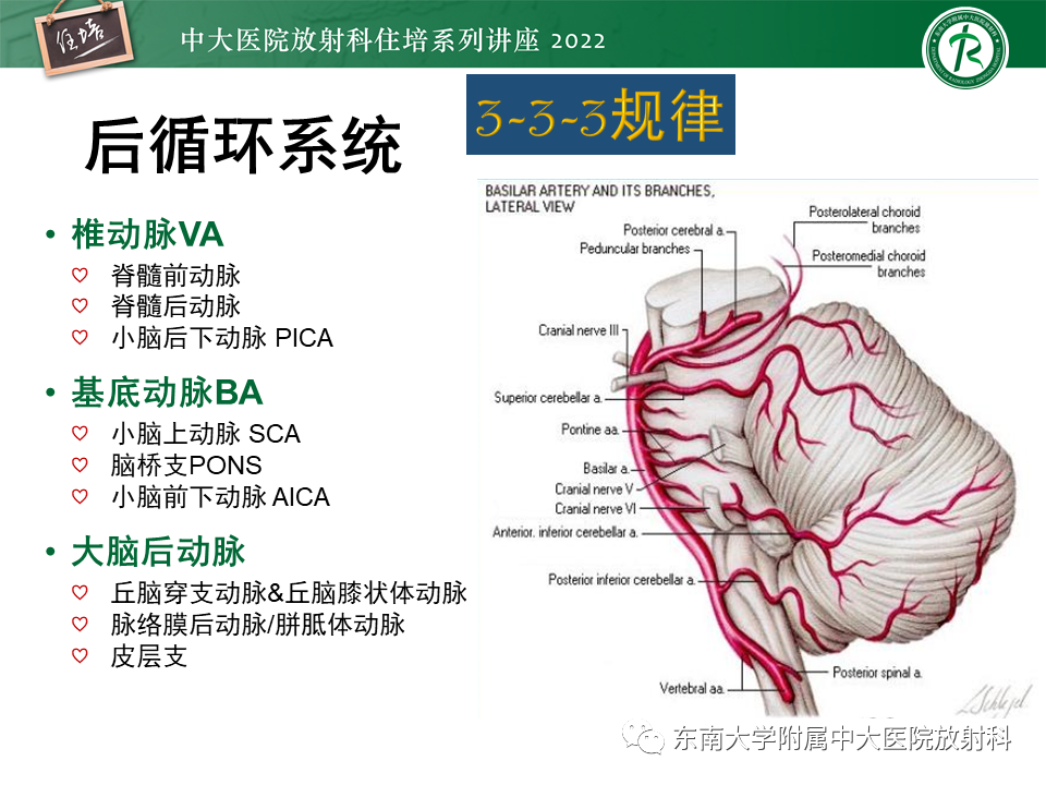 影像PPT - 【PPT】大脑后循环供血区脑梗死影像学表现-8