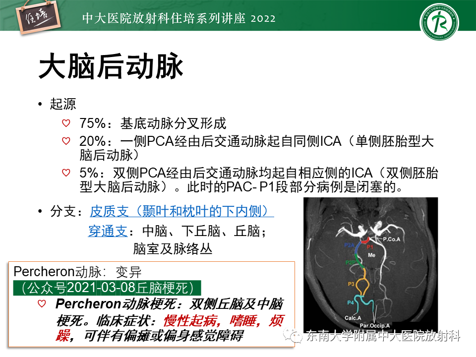 影像PPT - 【PPT】大脑后循环供血区脑梗死影像学表现-10