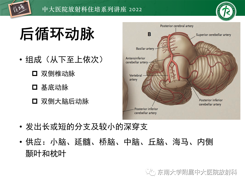 影像PPT - 【PPT】大脑后循环供血区脑梗死影像学表现-7