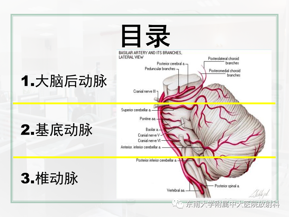 影像PPT - 【PPT】大脑后循环供血区脑梗死影像学表现-6
