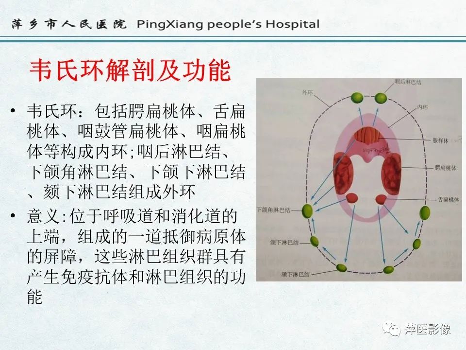 影像PPT - 【PPT】鼻咽部肿瘤影像学上的异同-5