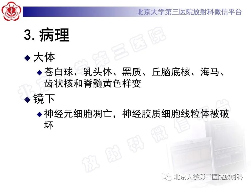 影像PPT - 【PPT】胆红素脑病-9