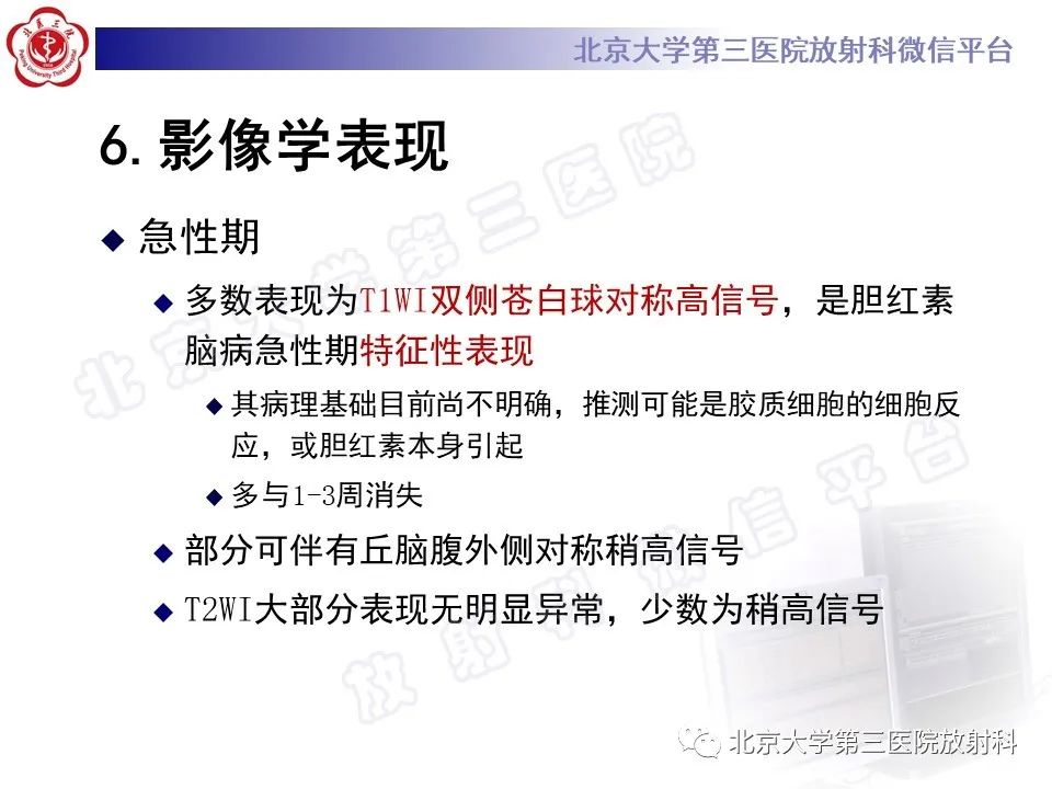 影像PPT - 【PPT】胆红素脑病-13