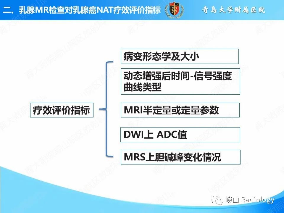 影像PPT - 【PPT】MRI评估乳腺癌新辅助治疗疗效-5