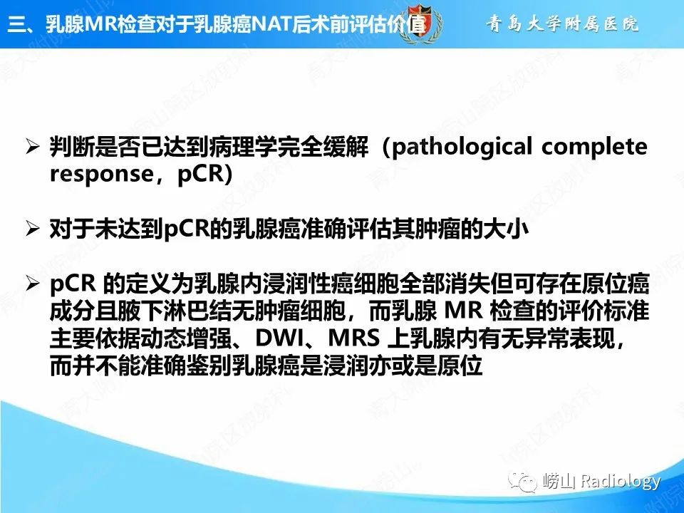 影像PPT - 【PPT】MRI评估乳腺癌新辅助治疗疗效-12