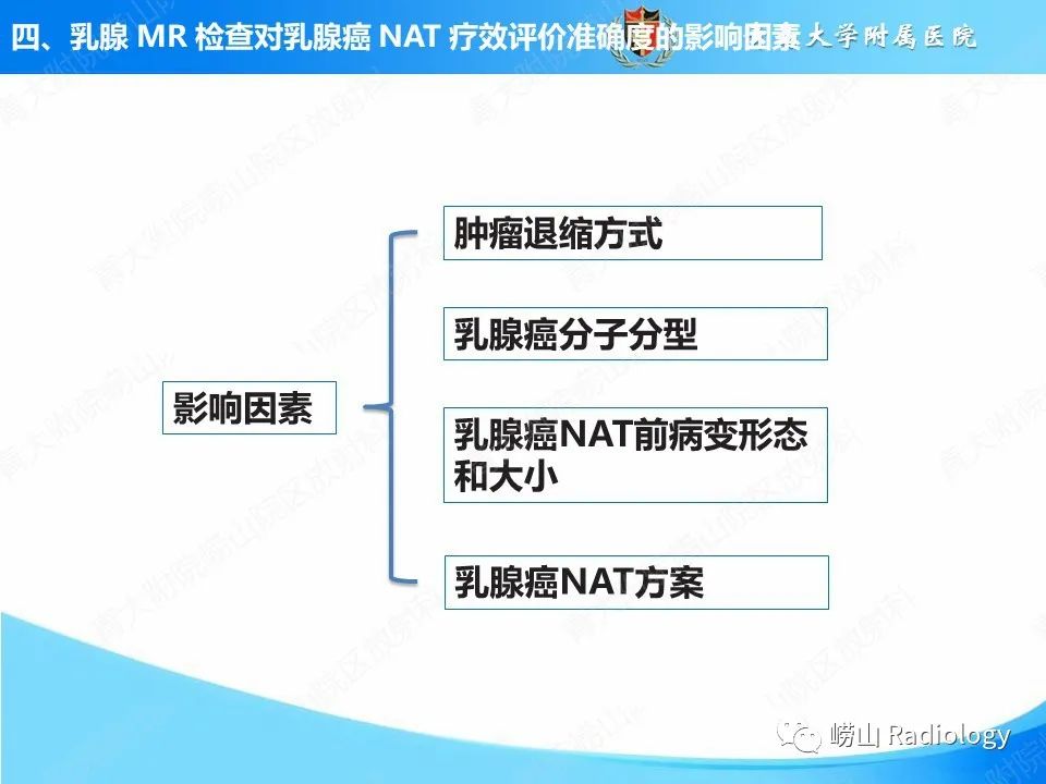 影像PPT - 【PPT】MRI评估乳腺癌新辅助治疗疗效-13