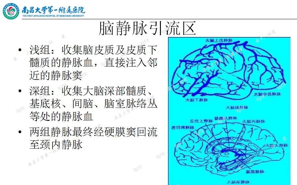 影像PPT - 【PPT】颅内静脉病变及相关卒中的影像学诊断-5