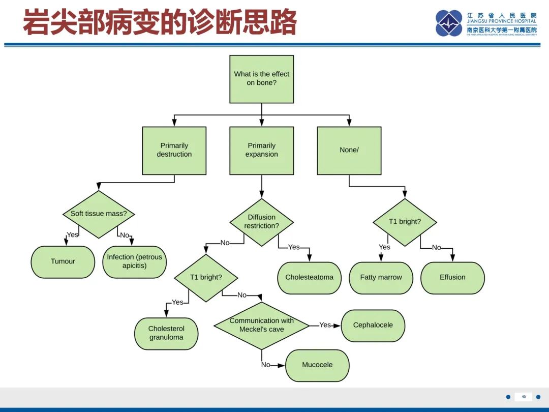 影像PPT - 【PPT】岩尖胆脂瘤-41
