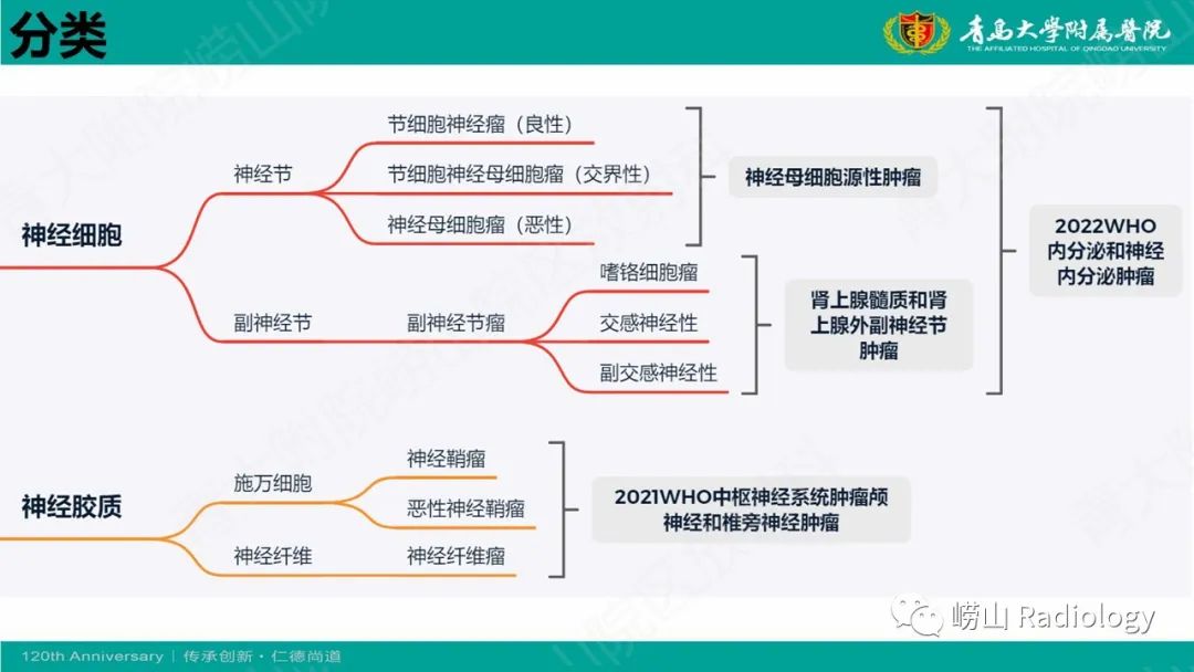 影像PPT - 【病例】腹膜后节细胞神经母细胞瘤1例CT影像-18