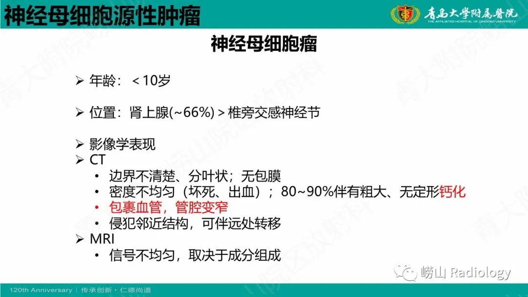 影像PPT - 【病例】腹膜后节细胞神经母细胞瘤1例CT影像-22
