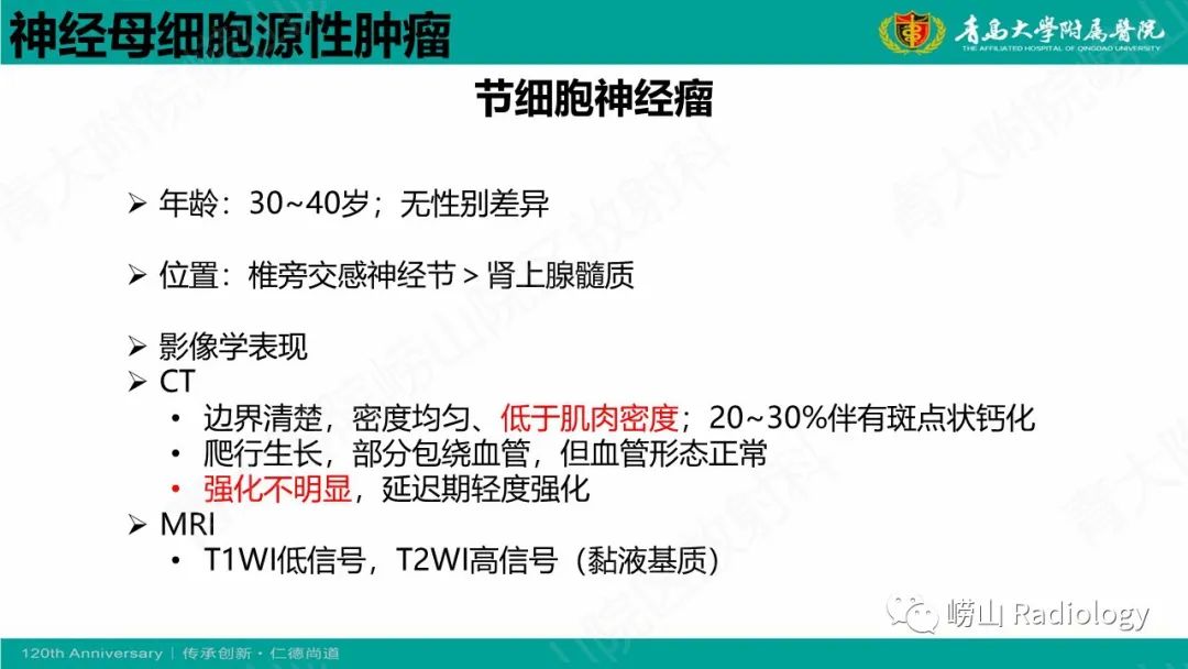 影像PPT - 【病例】腹膜后节细胞神经母细胞瘤1例CT影像-20
