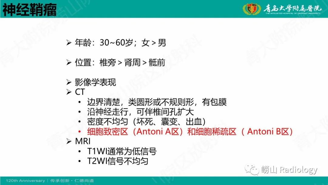 影像PPT - 【病例】腹膜后节细胞神经母细胞瘤1例CT影像-28