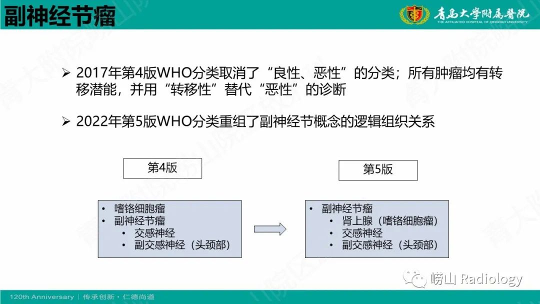 影像PPT - 【病例】腹膜后节细胞神经母细胞瘤1例CT影像-1