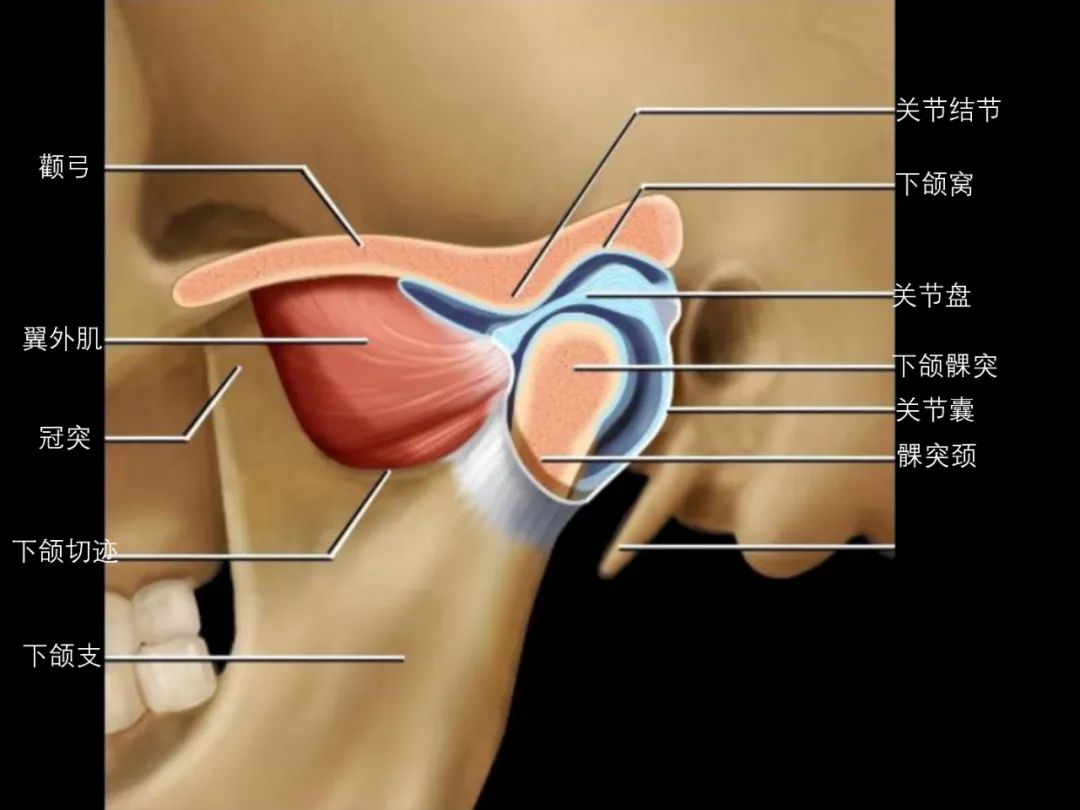 影像PPT - 颞下颌关节紊乱病-2 影像PPT - 颞下颌关节紊乱病-2