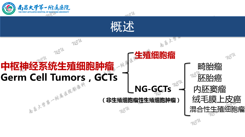 影像PPT - 【PPT】颅内生殖细胞瘤-32