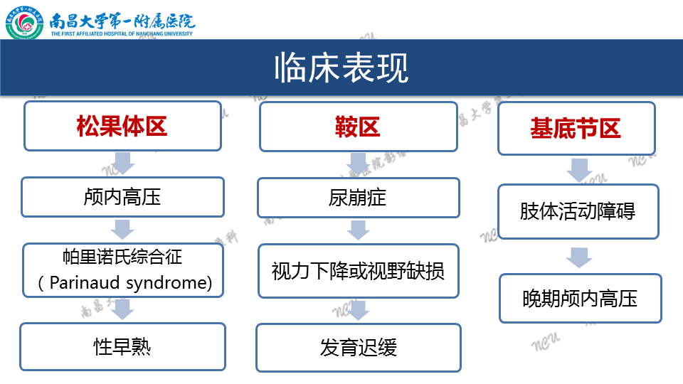 影像PPT - 【PPT】颅内生殖细胞瘤-34