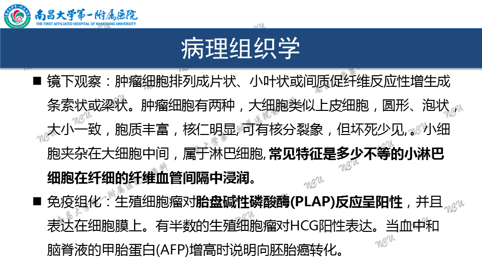 影像PPT - 【PPT】颅内生殖细胞瘤-35