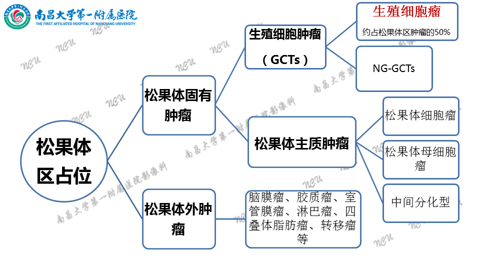 影像PPT - 【PPT】颅内生殖细胞瘤-39