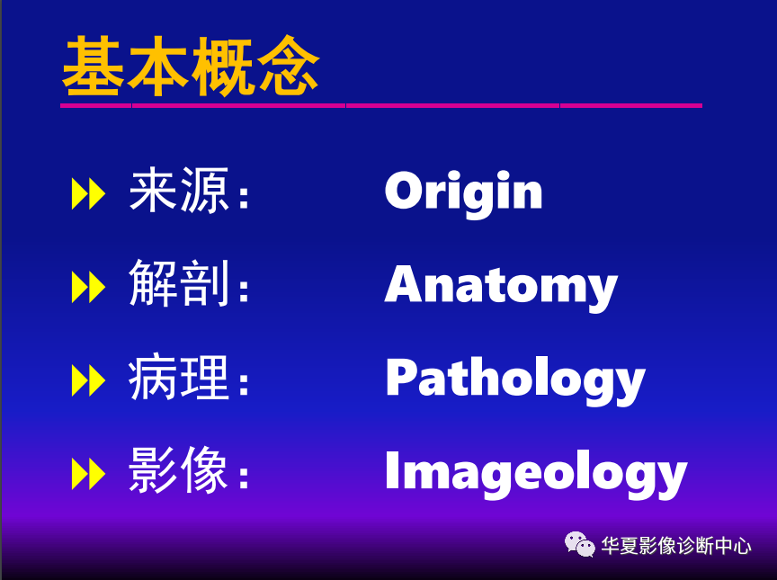 影像PPT - 【PPT】肺间质性疾病来源、解剖、病理和影像-6