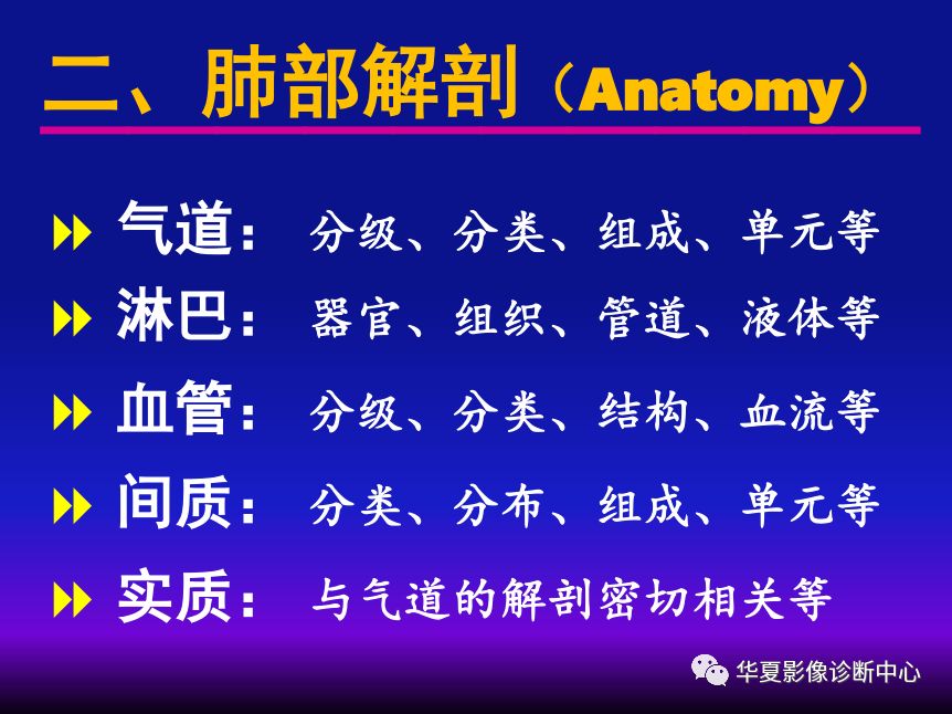 影像PPT - 【PPT】肺间质性疾病来源、解剖、病理和影像-13