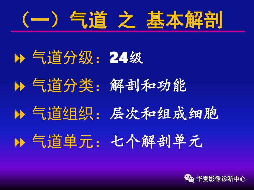 影像PPT - 【PPT】肺间质性疾病来源、解剖、病理和影像-14