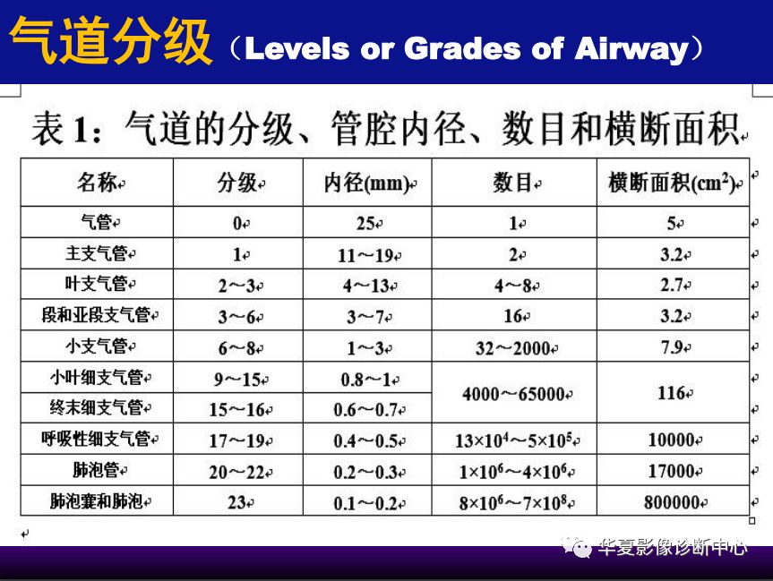 影像PPT - 【PPT】肺间质性疾病来源、解剖、病理和影像-15