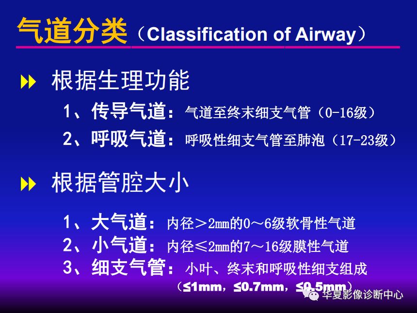 影像PPT - 【PPT】肺间质性疾病来源、解剖、病理和影像-16