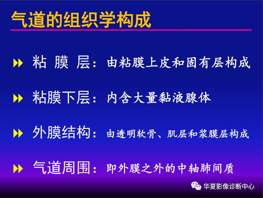 影像PPT - 【PPT】肺间质性疾病来源、解剖、病理和影像-17