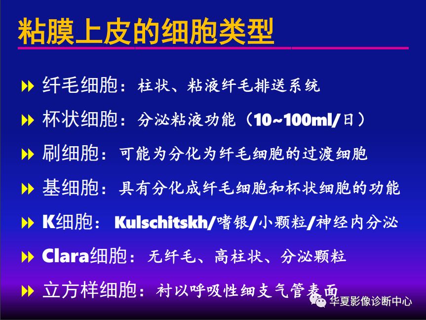 影像PPT - 【PPT】肺间质性疾病来源、解剖、病理和影像-18