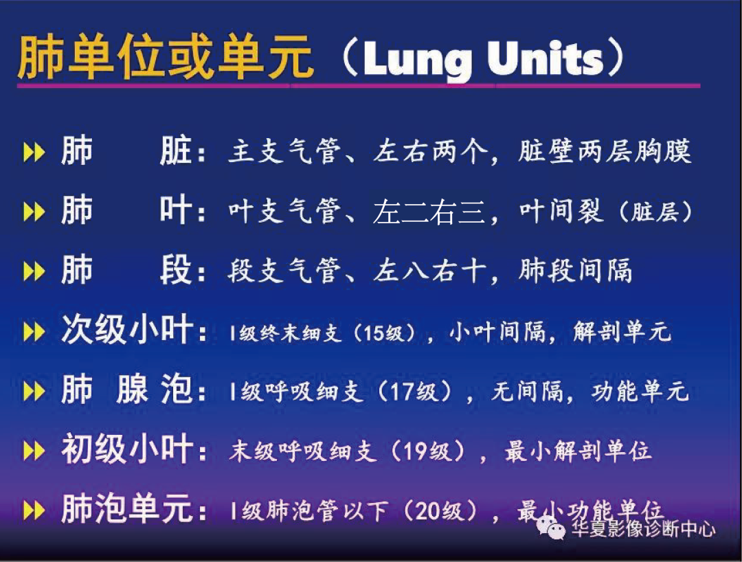 影像PPT - 【PPT】肺间质性疾病来源、解剖、病理和影像-19