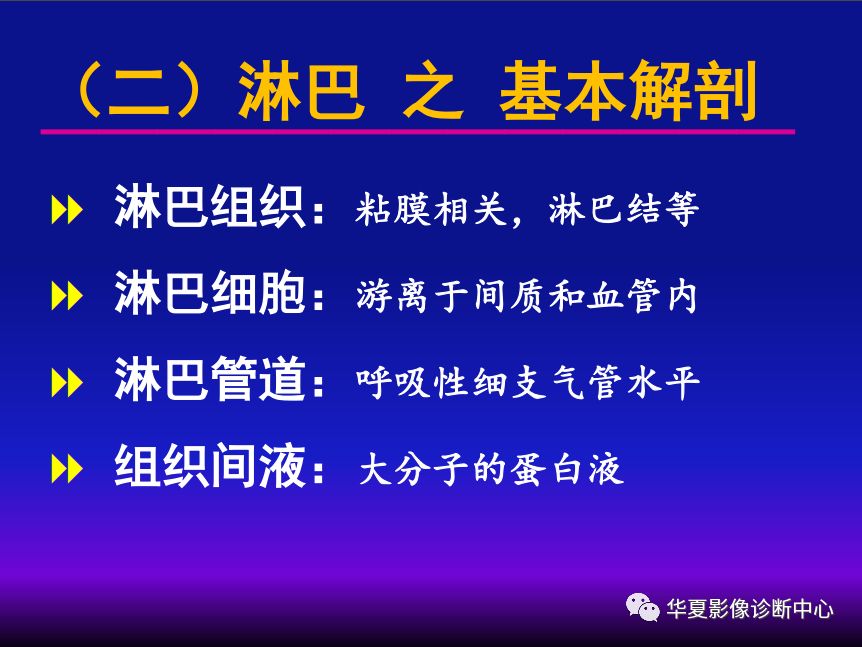 影像PPT - 【PPT】肺间质性疾病来源、解剖、病理和影像-23