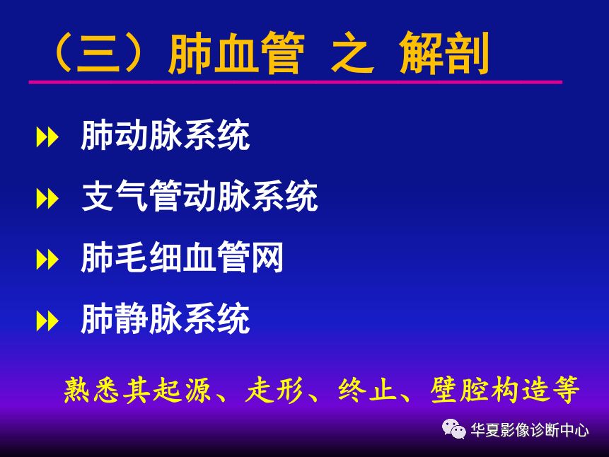 影像PPT - 【PPT】肺间质性疾病来源、解剖、病理和影像-29