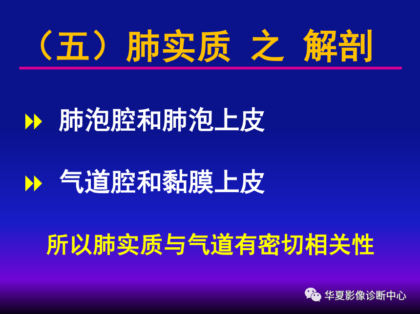 影像PPT - 【PPT】肺间质性疾病来源、解剖、病理和影像-38