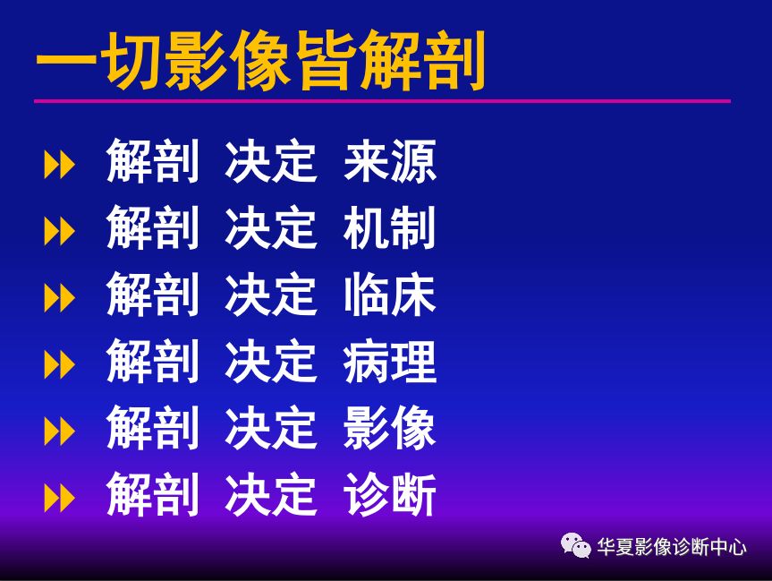 影像PPT - 【PPT】肺间质性疾病来源、解剖、病理和影像-43