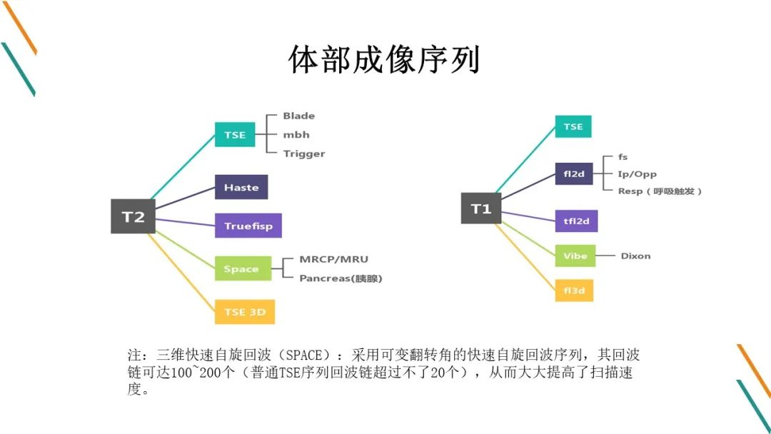 影像PPT - 【PPT】腹部MRI扫描、增强期相及延迟扫描策略-13