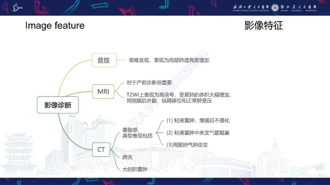 影像PPT - 【PPT】支气管闭锁影像诊断-12