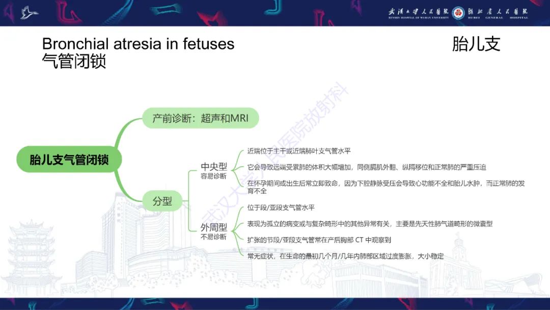 影像PPT - 【PPT】支气管闭锁影像诊断-11