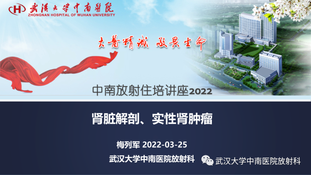 影像PPT - 【PPT】肾脏解剖、实性肾肿瘤-1