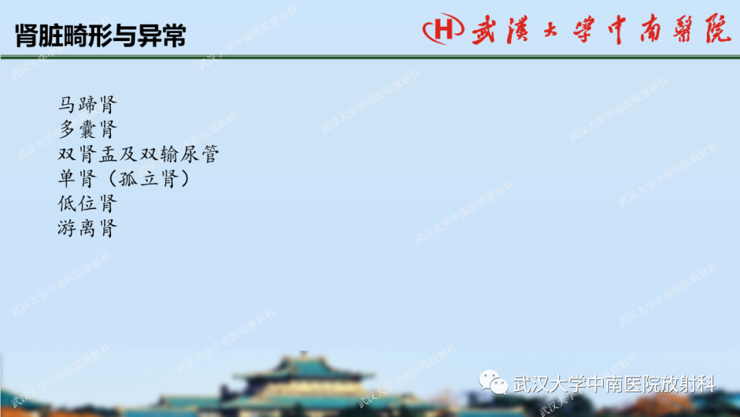 影像PPT - 【PPT】肾脏解剖、实性肾肿瘤-8