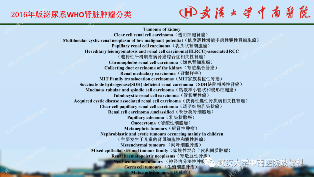 影像PPT - 【PPT】肾脏解剖、实性肾肿瘤-17