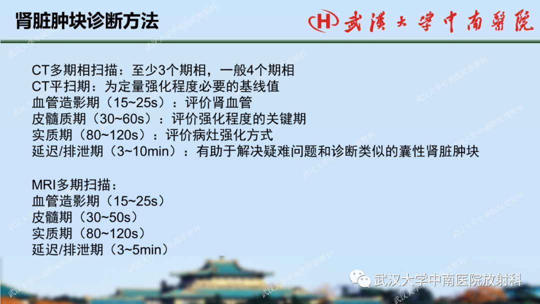 影像PPT - 【PPT】肾脏解剖、实性肾肿瘤-16