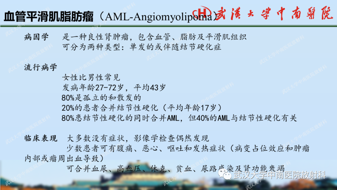 影像PPT - 【PPT】肾脏解剖、实性肾肿瘤-18