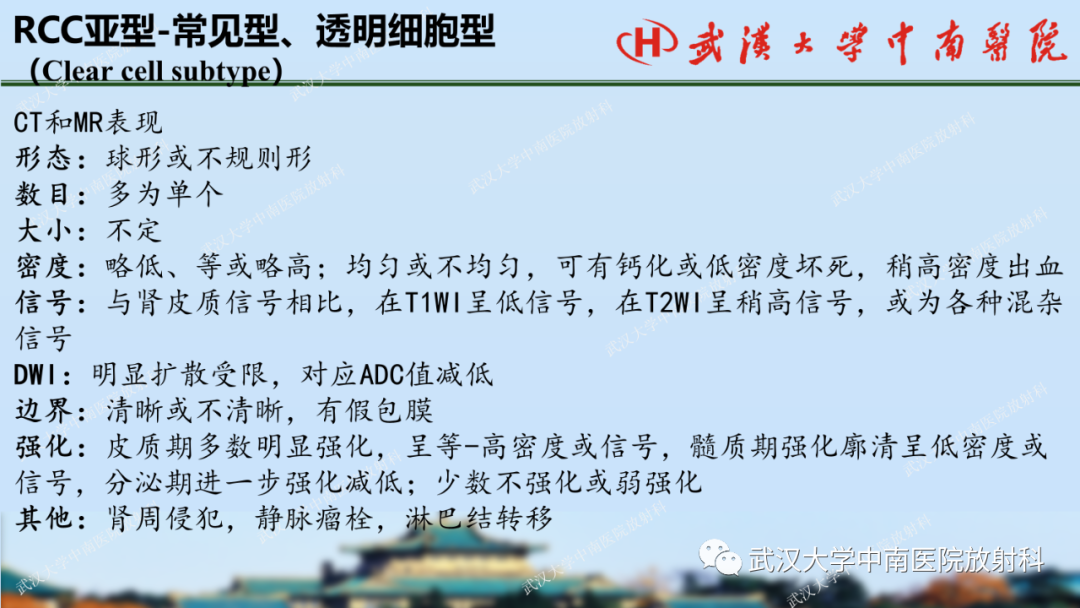 影像PPT - 【PPT】肾脏解剖、实性肾肿瘤-32