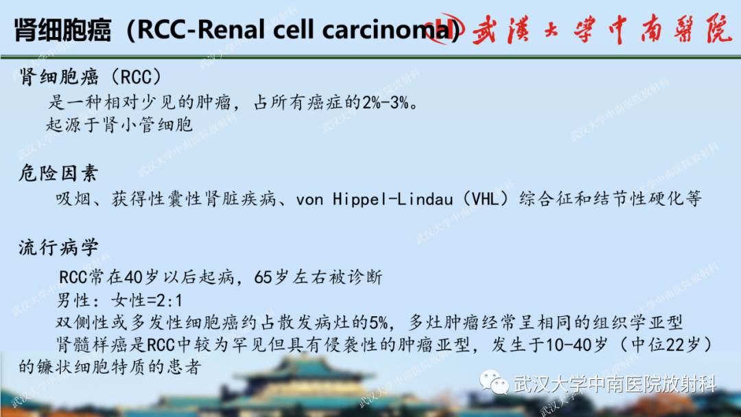 影像PPT - 【PPT】肾脏解剖、实性肾肿瘤-29
