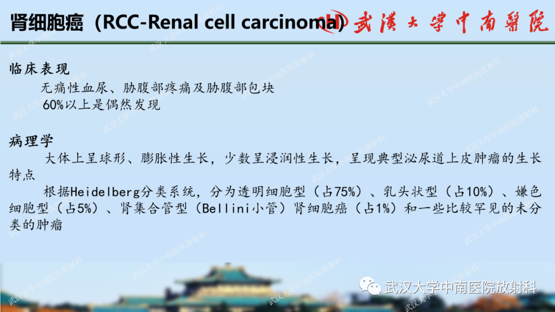 影像PPT - 【PPT】肾脏解剖、实性肾肿瘤-30