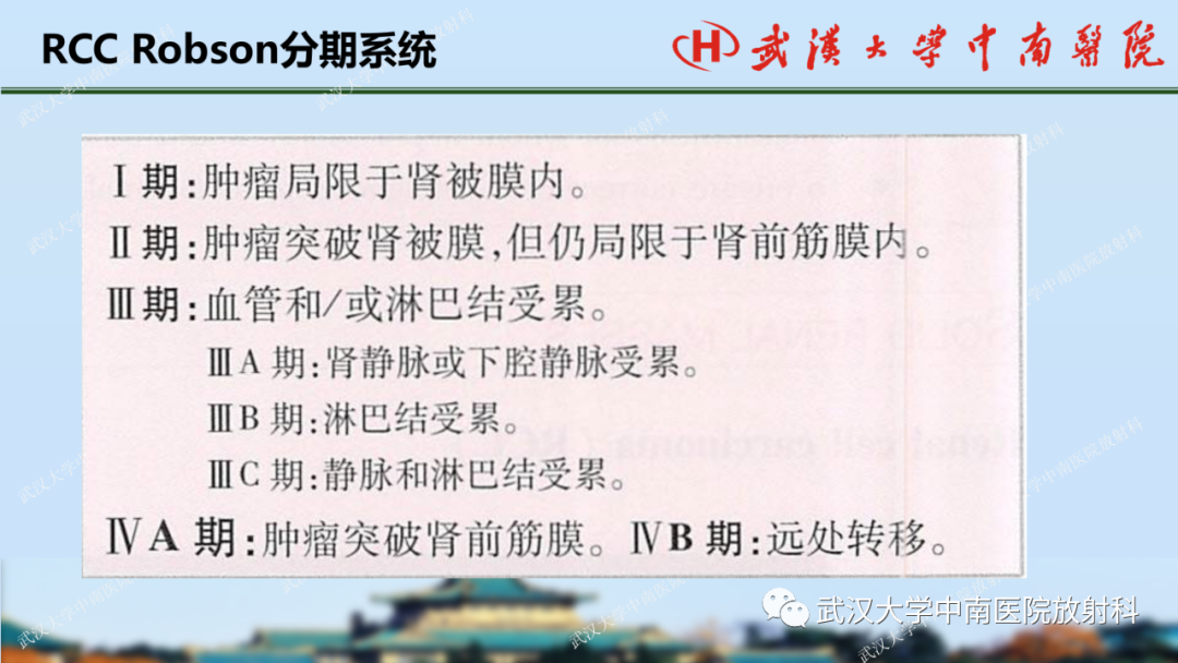 影像PPT - 【PPT】肾脏解剖、实性肾肿瘤-31