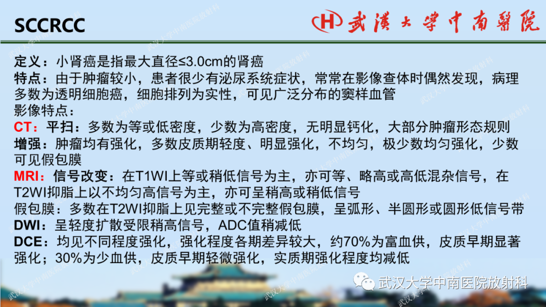 影像PPT - 【PPT】肾脏解剖、实性肾肿瘤-38