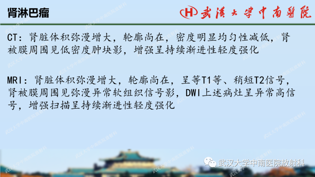 影像PPT - 【PPT】肾脏解剖、实性肾肿瘤-61