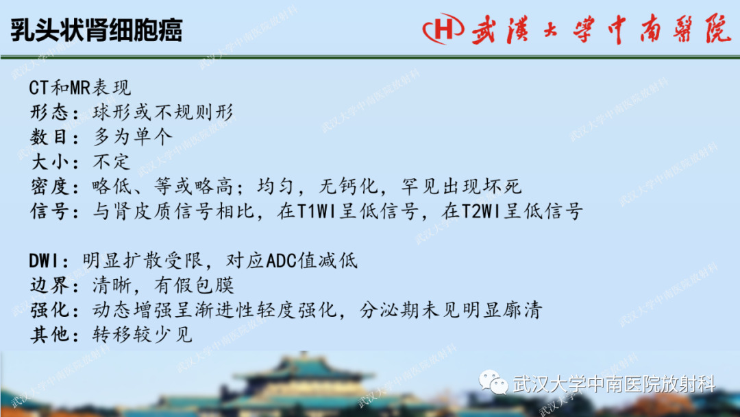 影像PPT - 【PPT】肾脏解剖、实性肾肿瘤-44