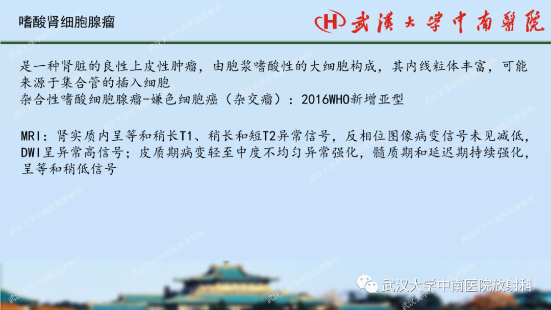 影像PPT - 【PPT】肾脏解剖、实性肾肿瘤-65